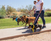 StrikeLight Pet Pack